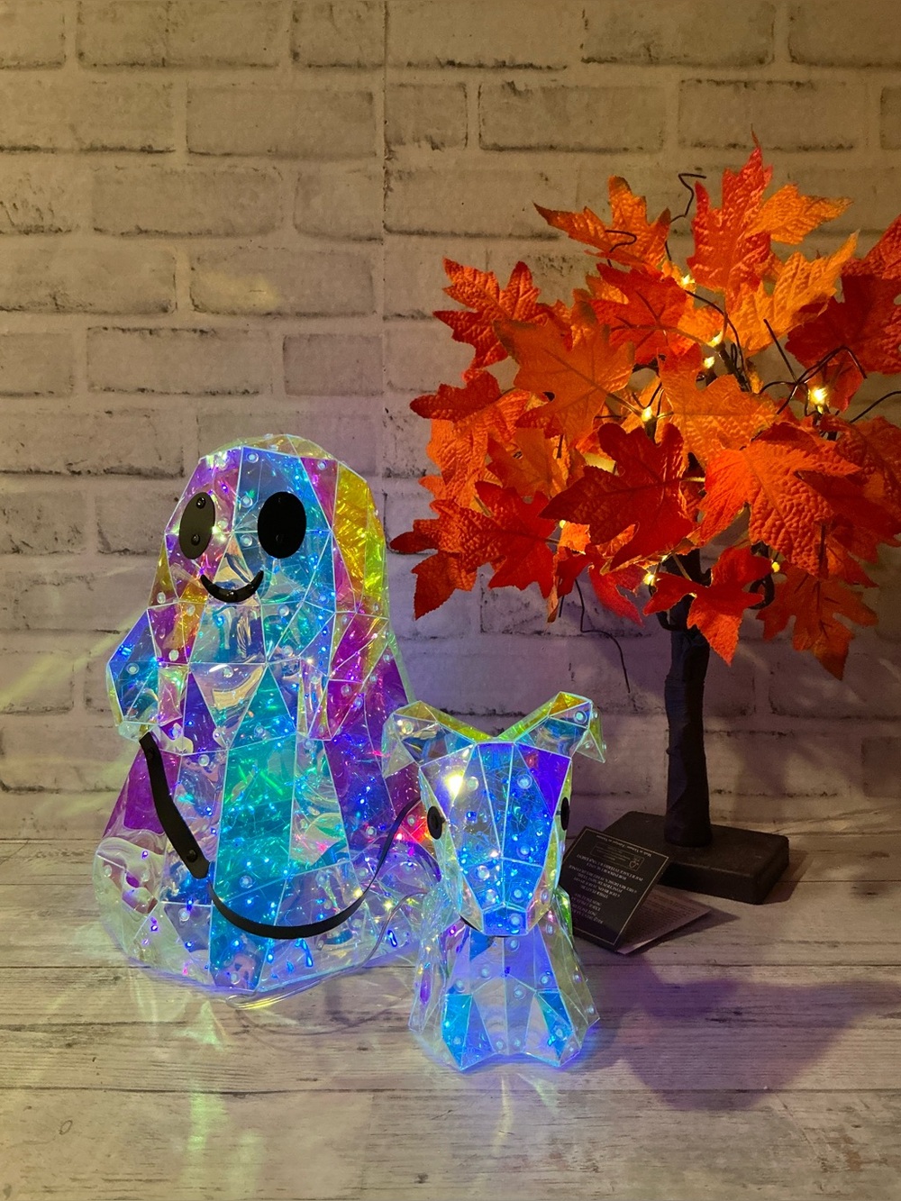 CHRISTIAN SIRIANO NEW YORK iridescent film ghost with dog